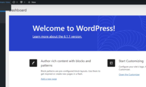 How To Start A Web Business - Setting Up Your WordPress Website